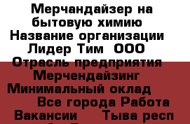 Мерчандайзер на бытовую химию › Название организации ­ Лидер Тим, ООО › Отрасль предприятия ­ Мерчендайзинг › Минимальный оклад ­ 25 000 - Все города Работа » Вакансии   . Тыва респ.,Ак-Довурак г.